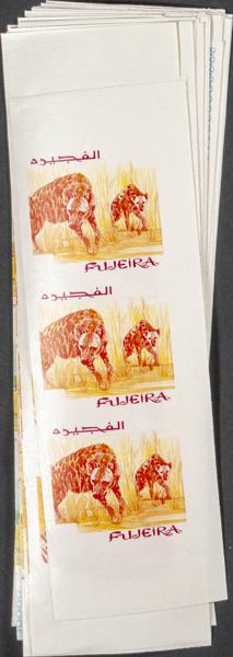 1284 | Arabia Sudeste-Fujeira