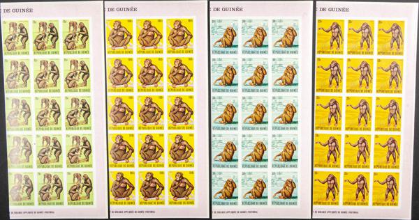 1370 | Guinea (República)