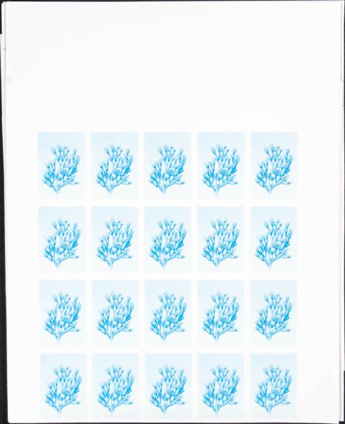 2027 | Marruecos Independiente