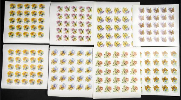 1150 | Southeast Arabia Fujeira