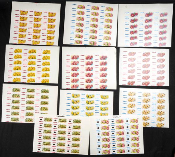 1175 | Southeast Arabia Fujeira