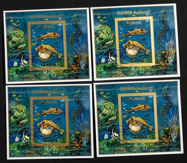 1630 | Arabia Sudeste-Manama