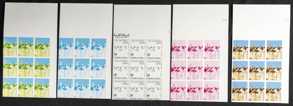 1836 | Independent Morocco