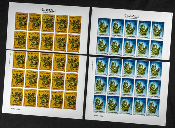 1877 | Independent Morocco