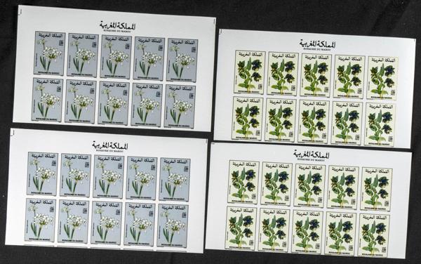 1894 | Independent Morocco