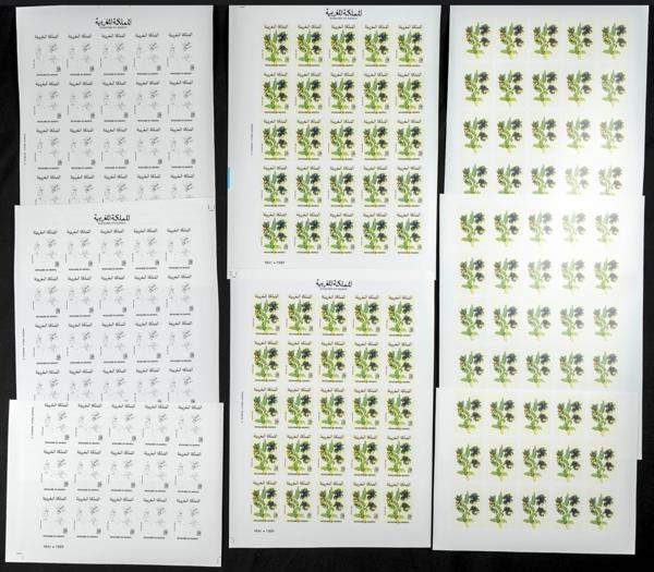 1895 | Independent Morocco