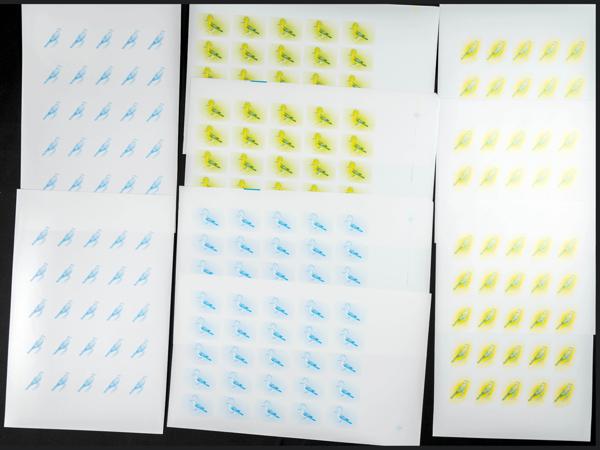 1908 | Independent Morocco