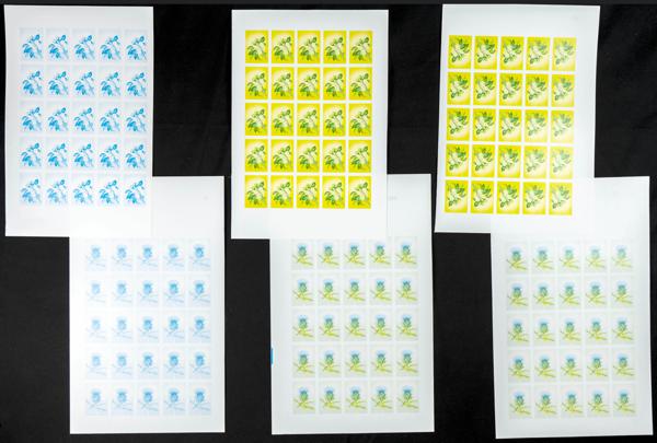 1923 | Independent Morocco