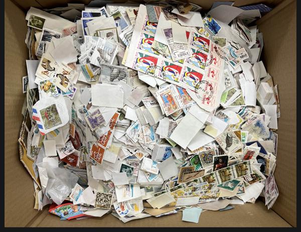 1102 | Spanish Collection