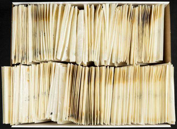 299 | Italy. Lots and Collections.Worldwide