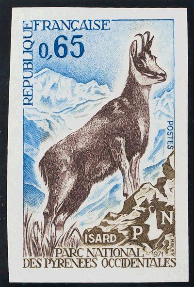 0000044277 - Francia