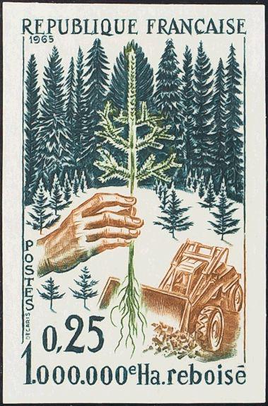 0000044689 - Francia