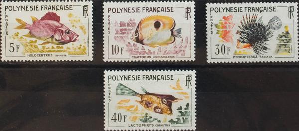 0000059873 - Polinesia