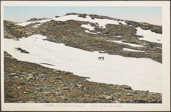 0000082522 - Granada