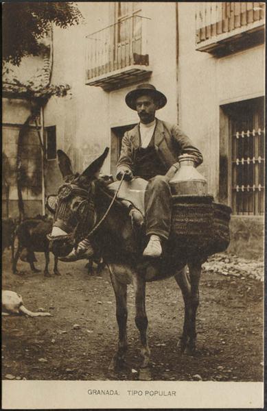 0000087872 - Granada