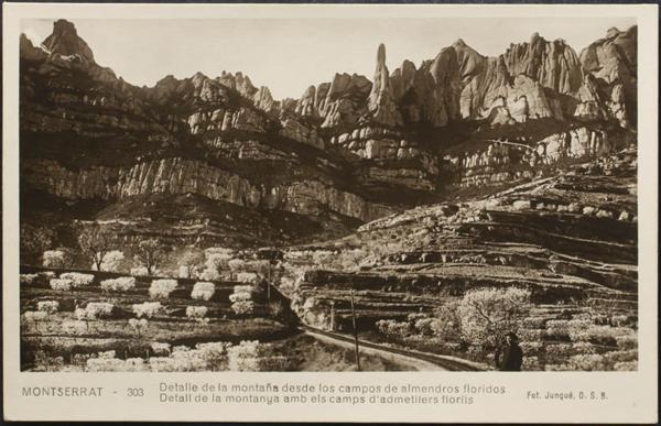 0000098221 - Barcelona